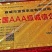 《金乌富贵1号》万亩基地，基地直供，育苗优质高产量何首乌
