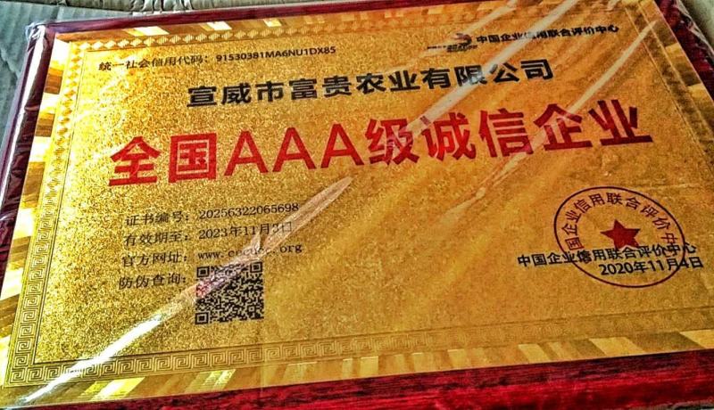 《金乌富贵1号》万亩基地，基地直供，育苗优质高产量何首乌