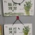 山东万亩黄苗芹菜基地60cm以上，产地直供。