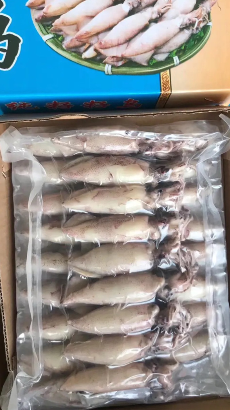 笔管鱼，新鲜笔管鱼，全籽坞海兔，全国代发货