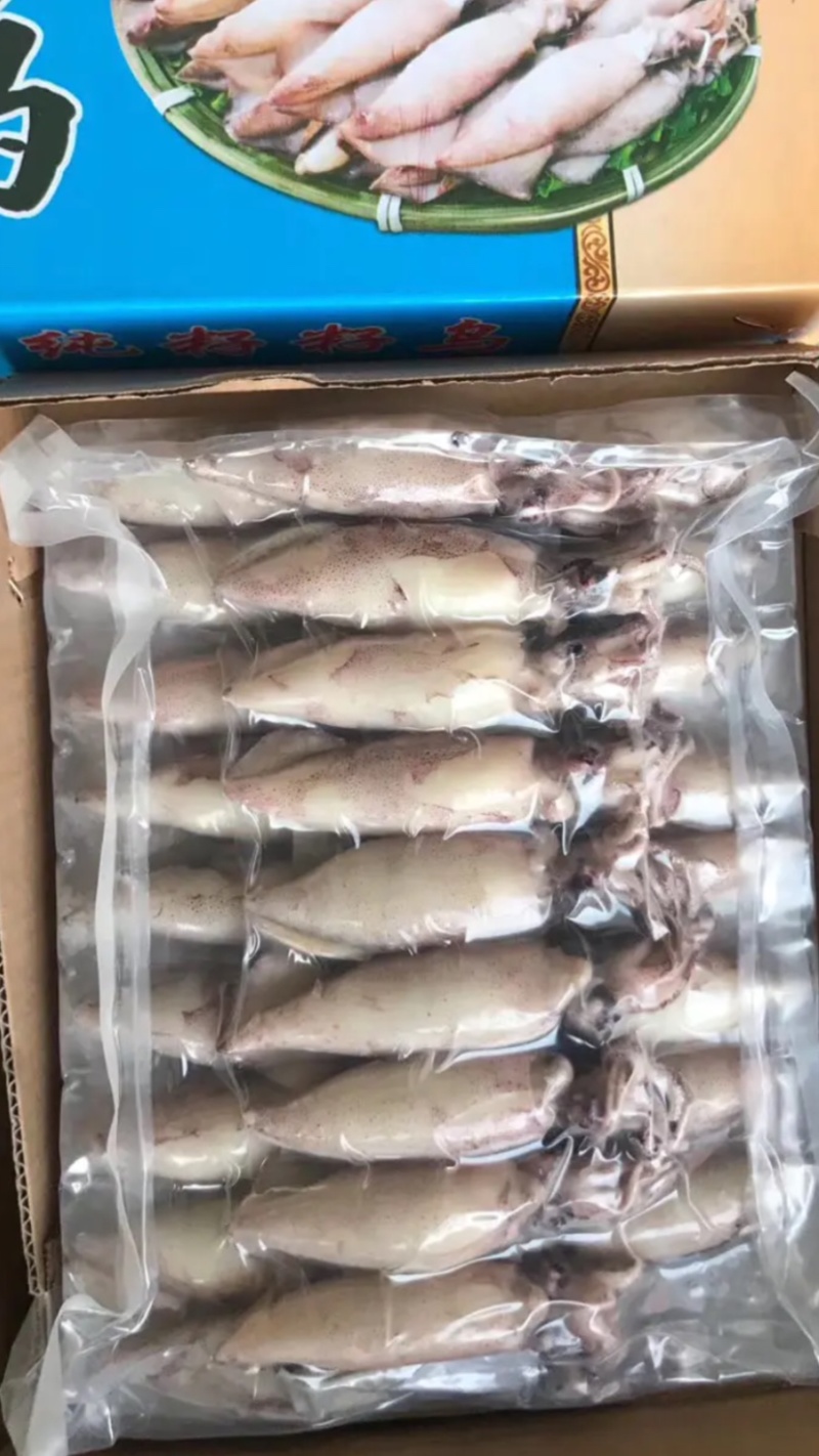 笔管鱼，新鲜笔管鱼，全籽坞海兔，全国代发货