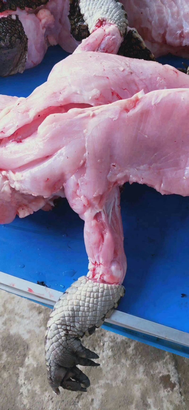半皮鳄鱼肉一百斤起30零售48