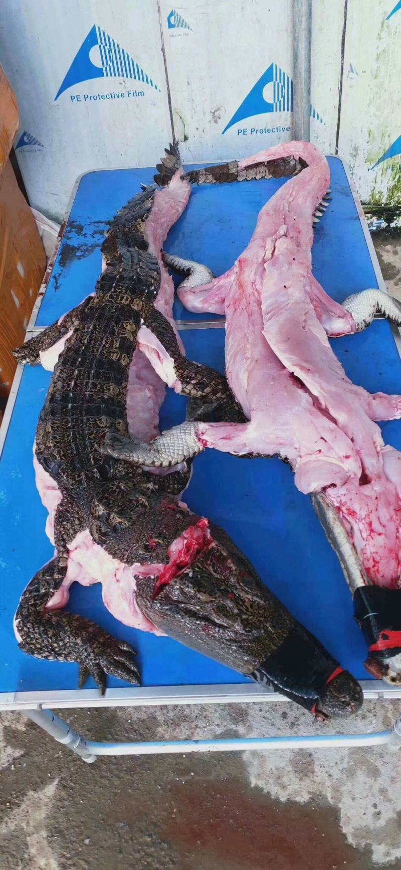 半皮鳄鱼肉一百斤起30零售48