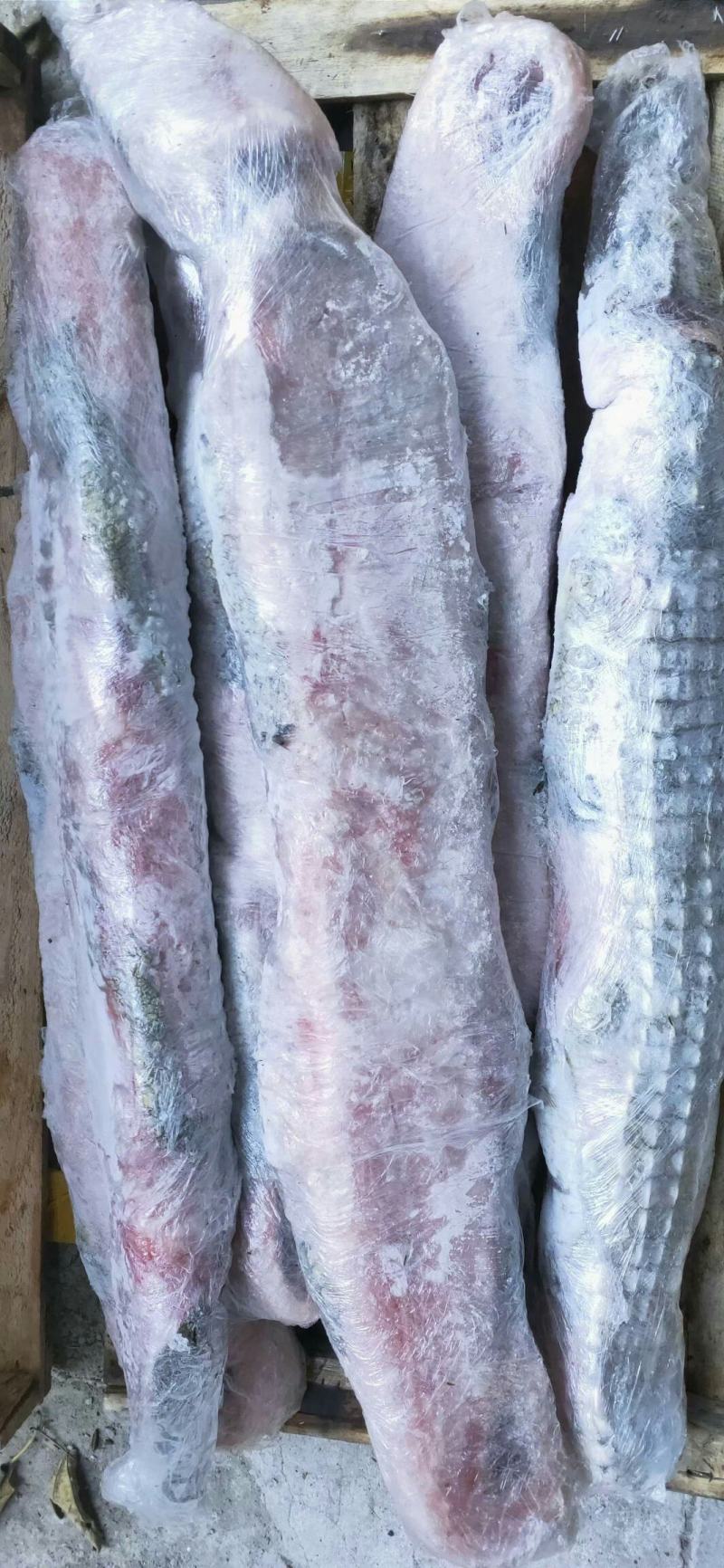 半皮鳄鱼肉一百斤起30零售48