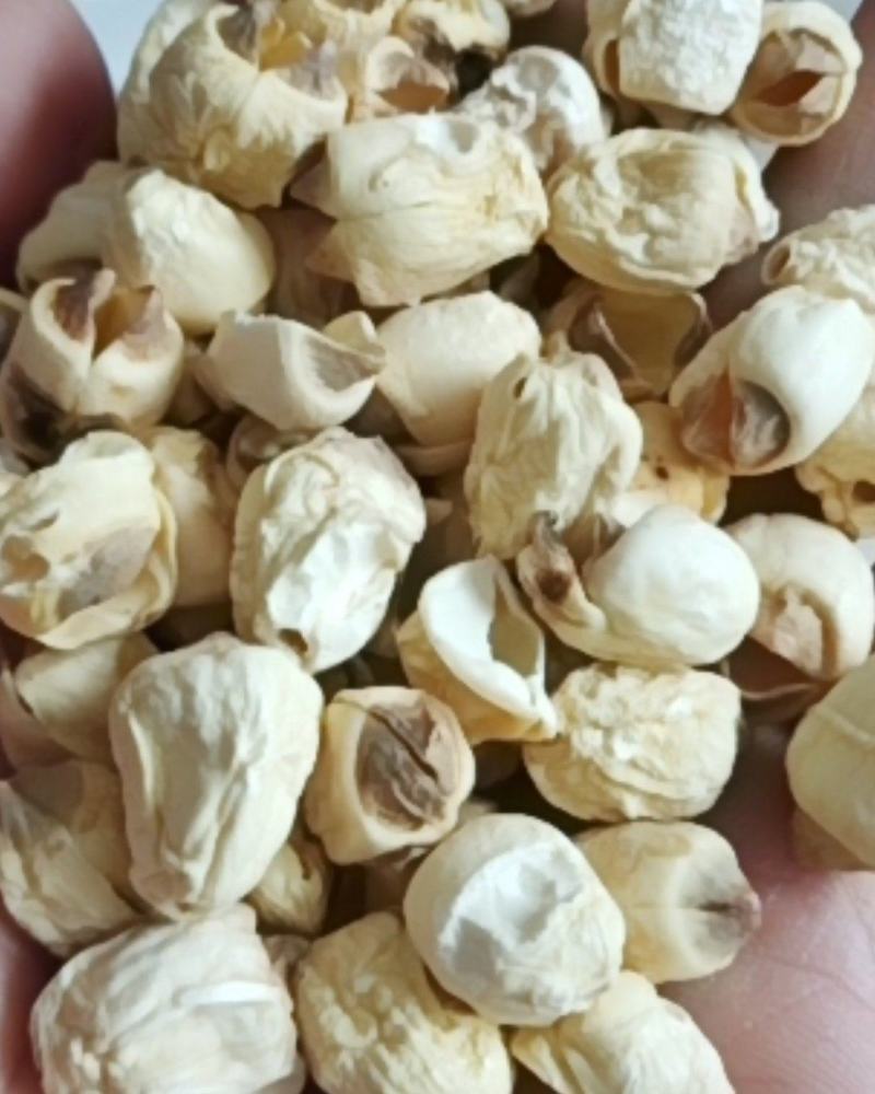 广昌白莲小莲子捻子酿酒打粉莲子