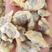 花蛤肉，新鲜花甲肉，花甲，美贝20斤一件干货无沙