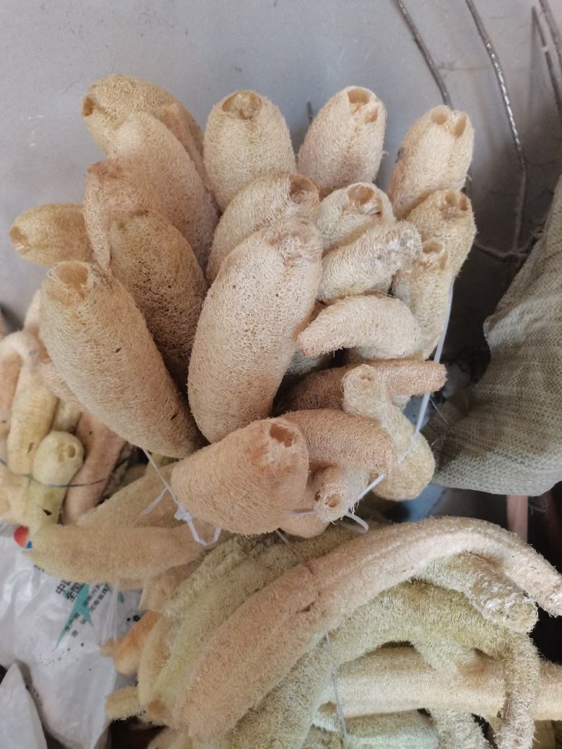 丝瓜络，货干，无籽，颜色好，一手货源，质量有保障
