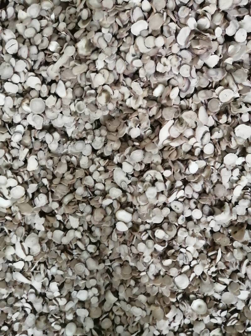 无流白芍片，各种规格，产地直销，产地：商丘市虞城县大候乡