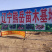 纯正国峰7号李子苗产地直发