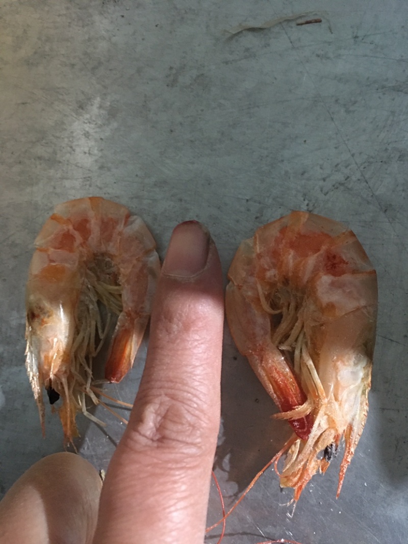 烤虾干海洋虾当潮货全部活虾烤饭店必备