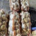 内蒙土豆，质量优良，品种齐全，货源充足，三优产品
