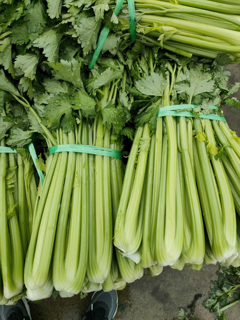精品西芹大量上市，产地一手货源，量大从优！