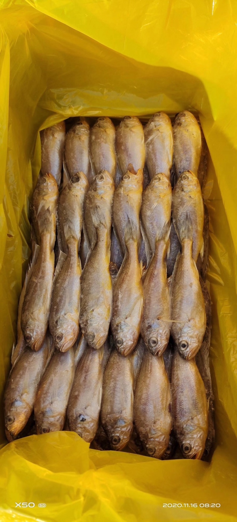 微商电商产品小黄花鱼价格低