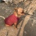 小鹿犬，小型犬，聪明伶俐，乖宝宝！好火伴，！