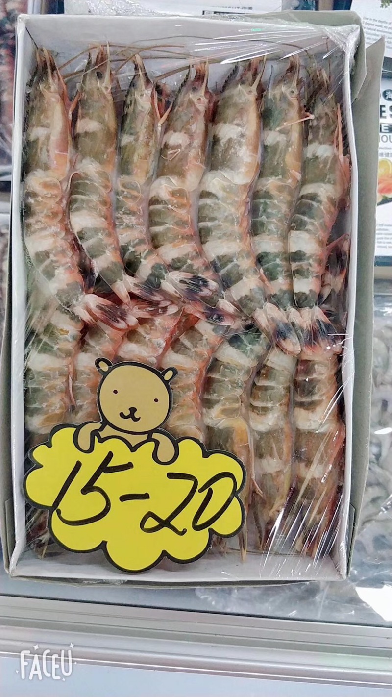 竹节虾/猫虎虾规格全质量保证今年新货