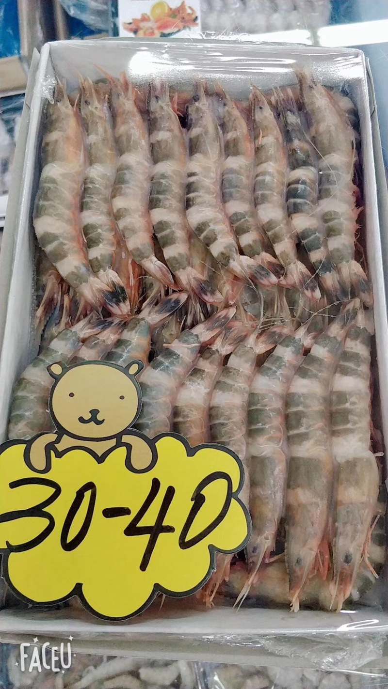 竹节虾/猫虎虾规格全质量保证今年新货