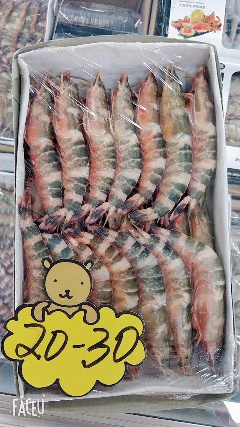 竹节虾/猫虎虾规格全质量保证今年新货
