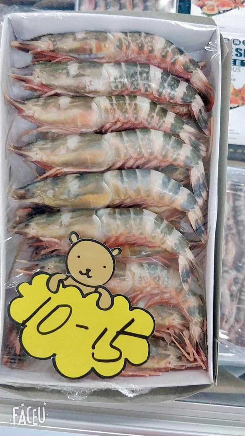 竹节虾/猫虎虾规格全质量保证今年新货