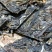 2020年易武弯弓古树生茶8克一片薄片方砖