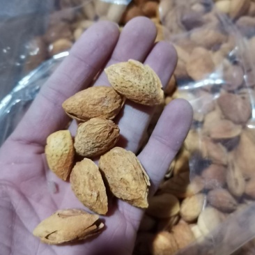 （包邮）新疆坚果纸皮巴旦木，奶香，椒盐，一级，特级