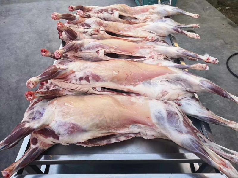 新疆伊犁草膘羊肉，美味时刻在线！