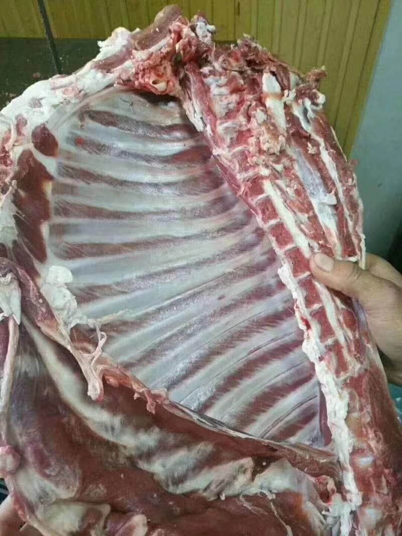 新疆伊犁草膘羊肉，美味时刻在线！