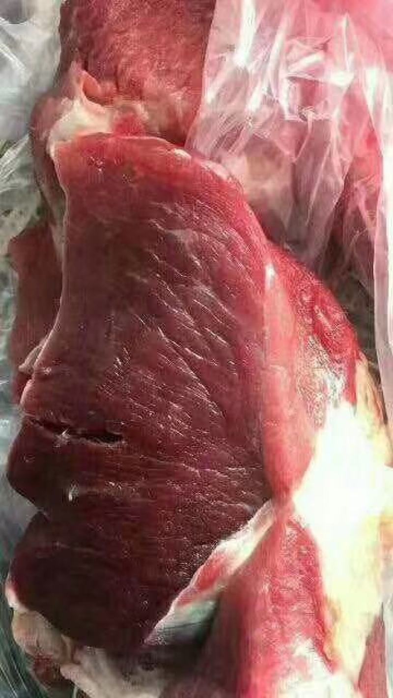 新疆伊犁本地新鲜牛肉，美味时刻在线！