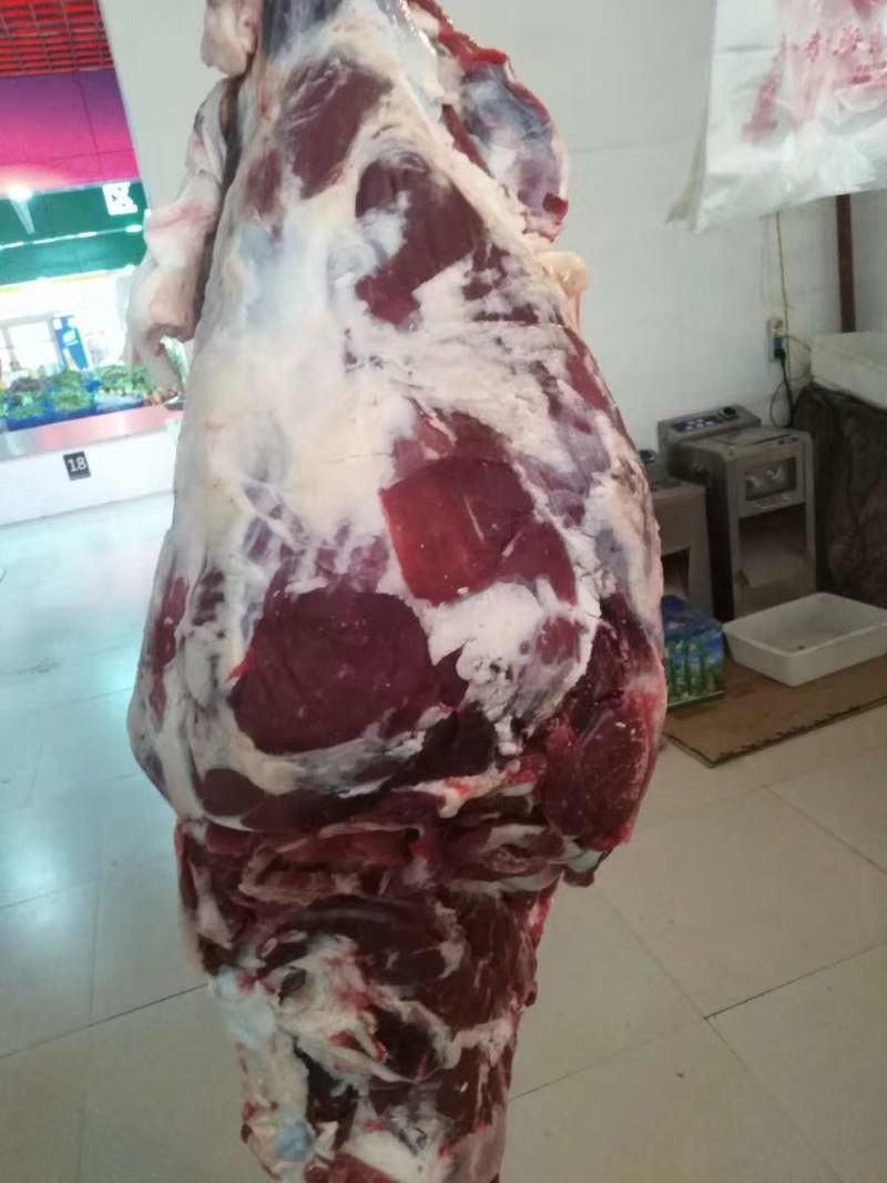 新疆伊犁本地新鲜牛肉，美味时刻在线！