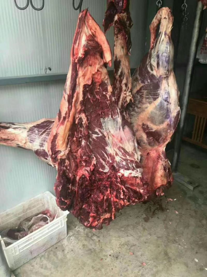 新疆伊犁本地新鲜牛肉，美味时刻在线！