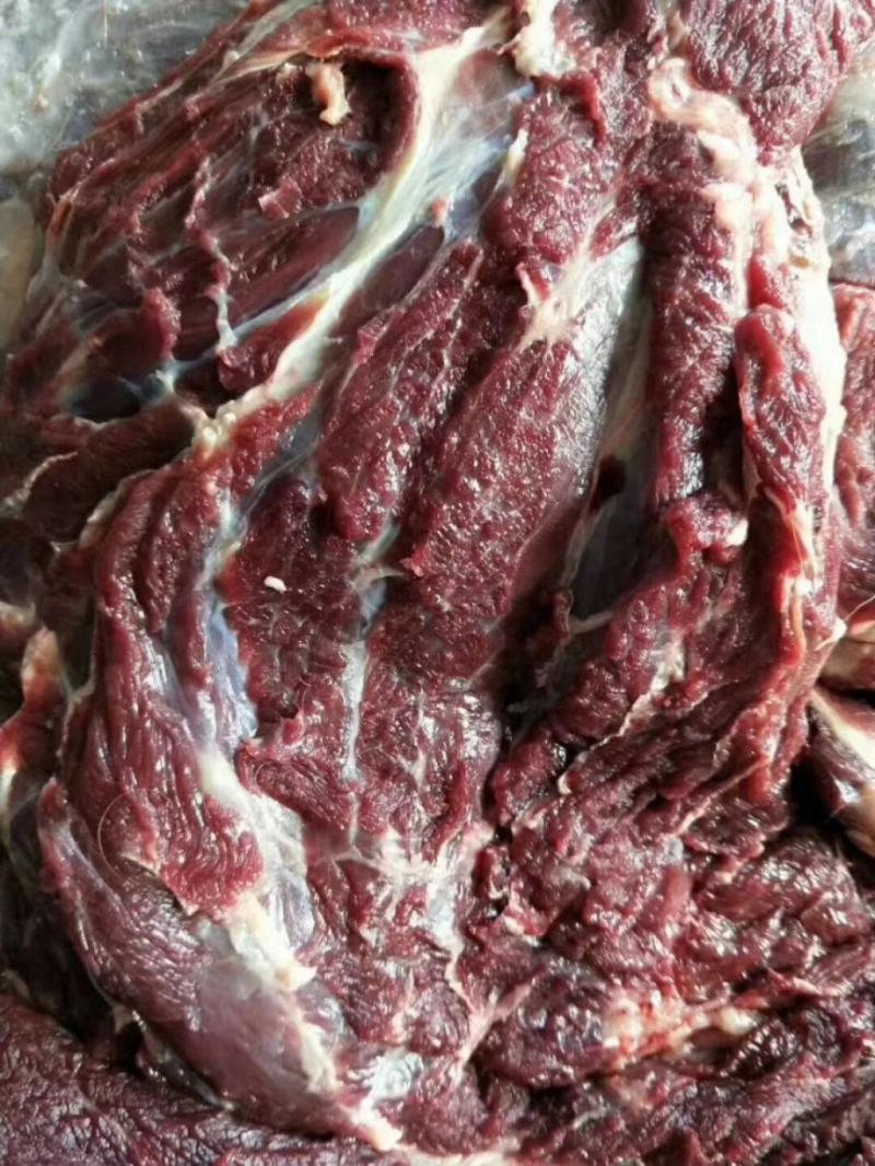 新疆伊犁本地新鲜牛肉，美味时刻在线！