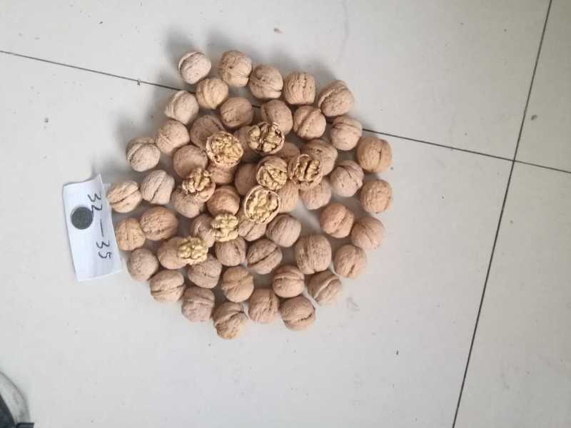 甘肃陇南核桃三千斤。