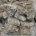 鹿角霜【包邮】三斤起发货可批量可零售量大从优