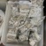 鹿角霜【包邮】三斤起发货可批量可零售量大从优