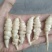 螺丝菜（草食蚕串溜宝塔菜地溜子）