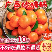 广西沙糖桔甜过初恋砂糖橘特价供应大量低价供应