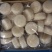 雪花带子日料食材个大肉厚鲜美弹嫩海鲜水产冷冻带子