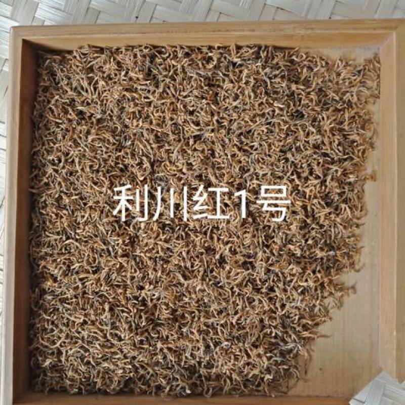 供应恩施富硒茶利川红一级红茶冷后浑红茶有机红茶健康茶红茶