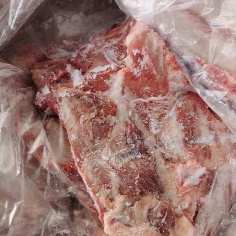生鲜冷冻猪排无颈前排猪前排厂家直销一箱净重20斤4-5