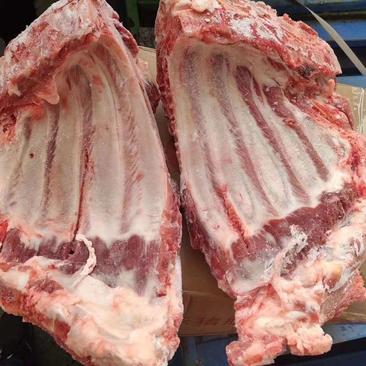 生鲜冷冻猪排无颈前排猪前排厂家直销一箱净重20斤4-5