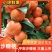 [精品]平南优质沙糖桔今年大丰收，大量上市了