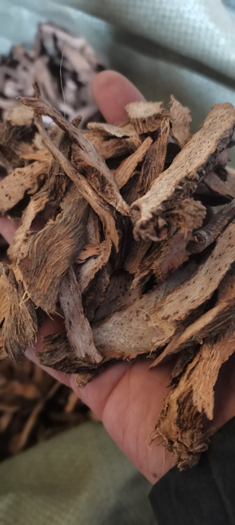 千年健千年见无硫熏无添加各种中药材批发
