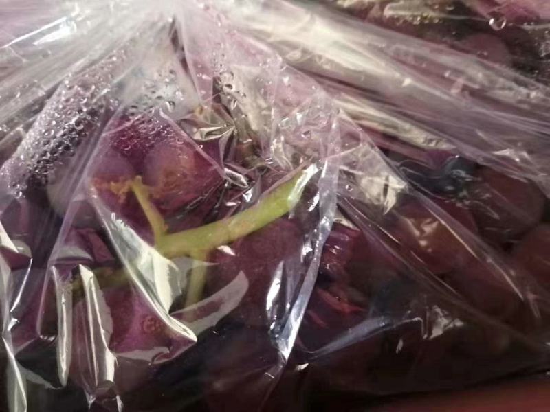 河北省邯郸市永年区豆下乡洋洋冷库巨峰葡萄大量出库中