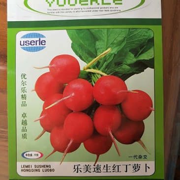 乐美速生红丁（小樱桃）萝卜种子图片看货