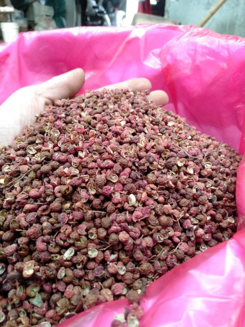 【精品】大红袍花椒颗粒大麻度好保质保量量大从优
