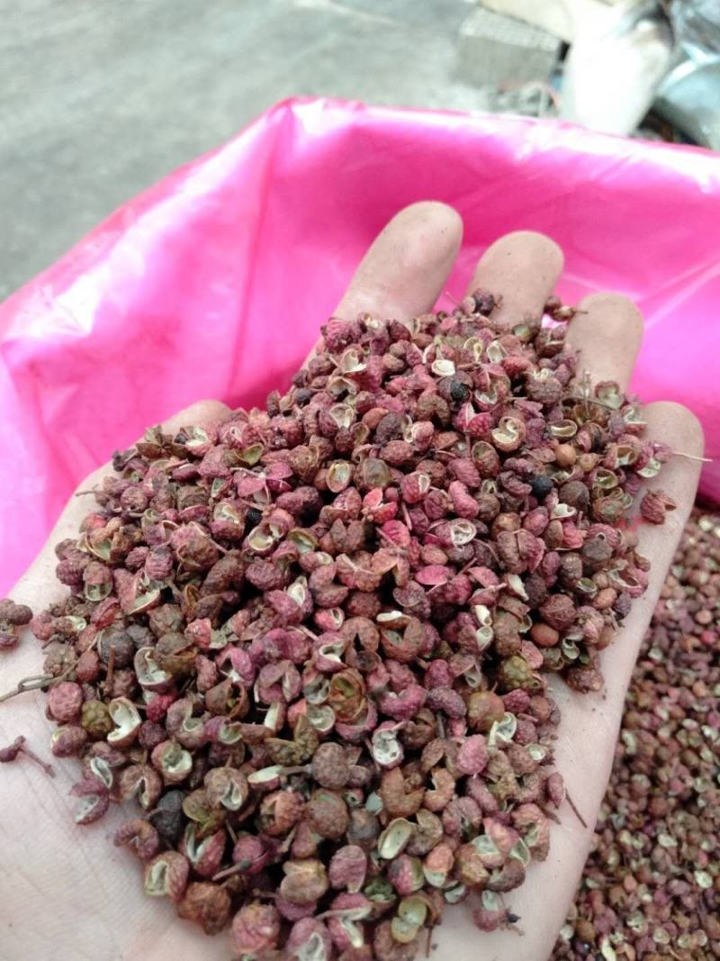 【精品】大红袍花椒颗粒大麻度好保质保量量大从优