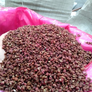 【精品】大红袍花椒颗粒大麻度好保质保量量大从优