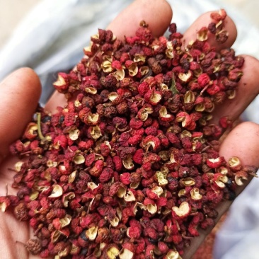 大红袍黄盖花椒狮子头花椒好品质好，麻味足。