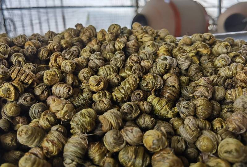 紫皮石斛，养生药材！健康食品！