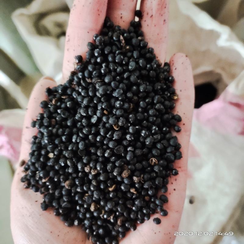 【文斌药业】椒目川椒目花椒目量大从优
