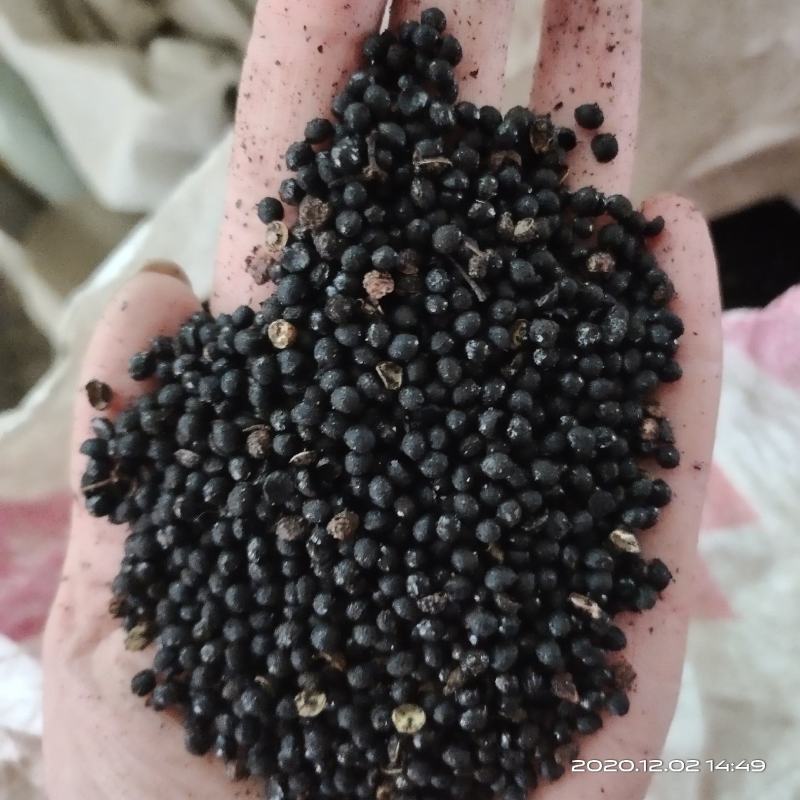【文斌药业】椒目川椒目花椒目量大从优